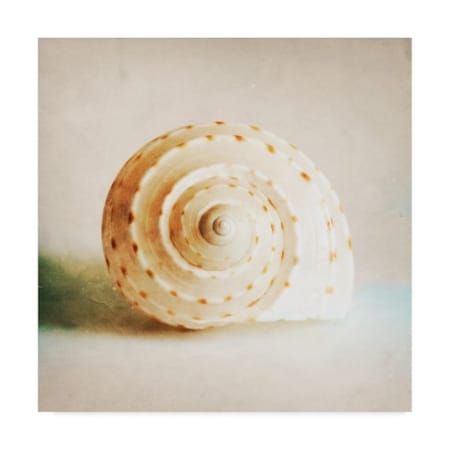 Trademark Fine Art
